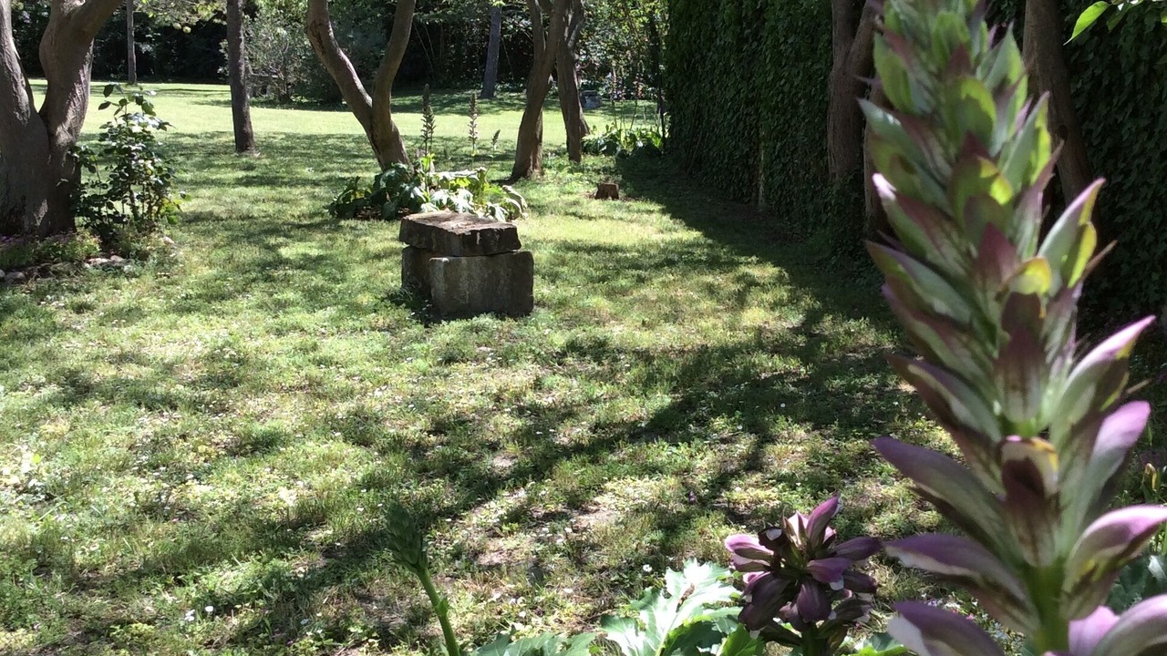 Photo of Outdoor in Marguerittes
