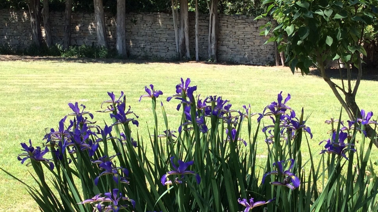 Photo of Outdoor in Marguerittes
