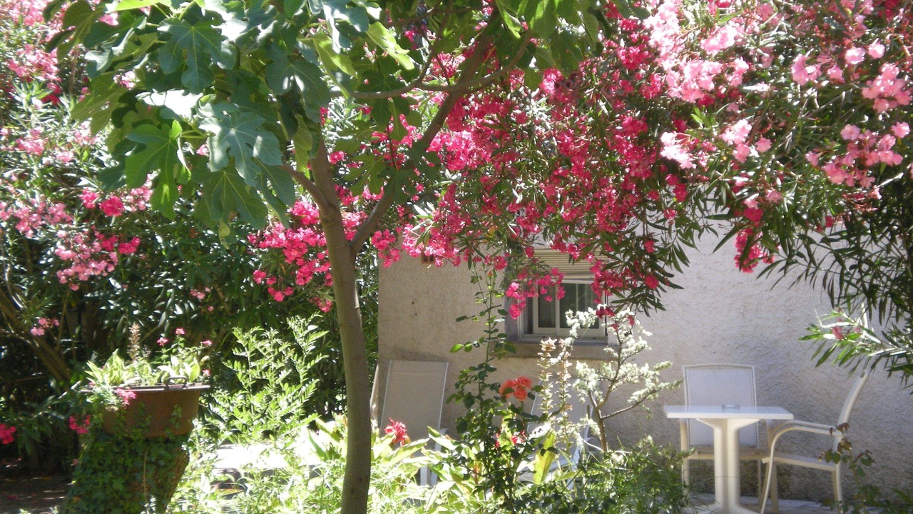 Photo of Patio Balcony in Marguerittes
