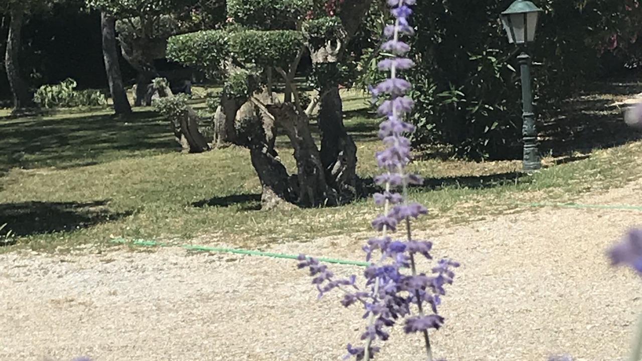 Photo of Outdoor in Marguerittes