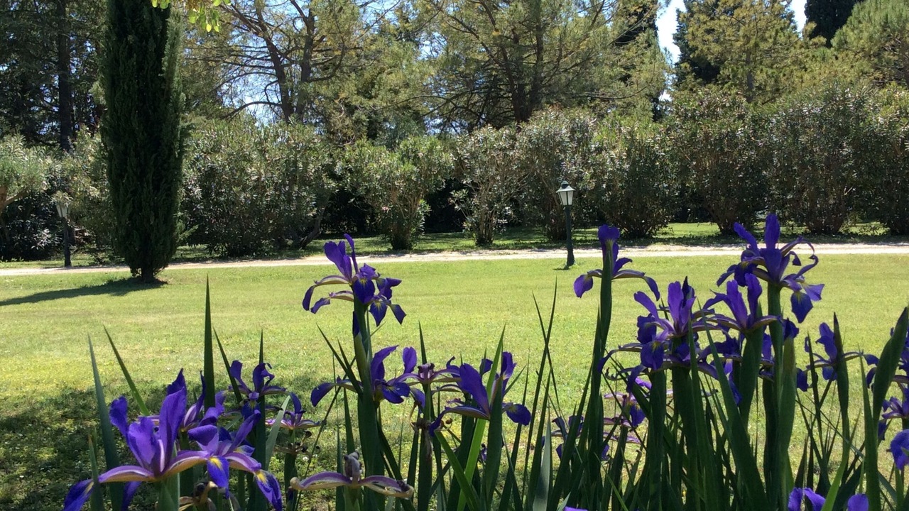 Photo of Outdoor in Marguerittes