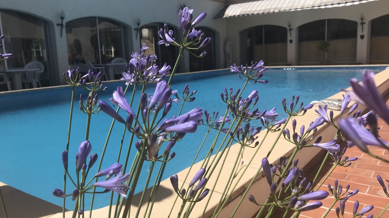 Photo of Outdoor in Marguerittes