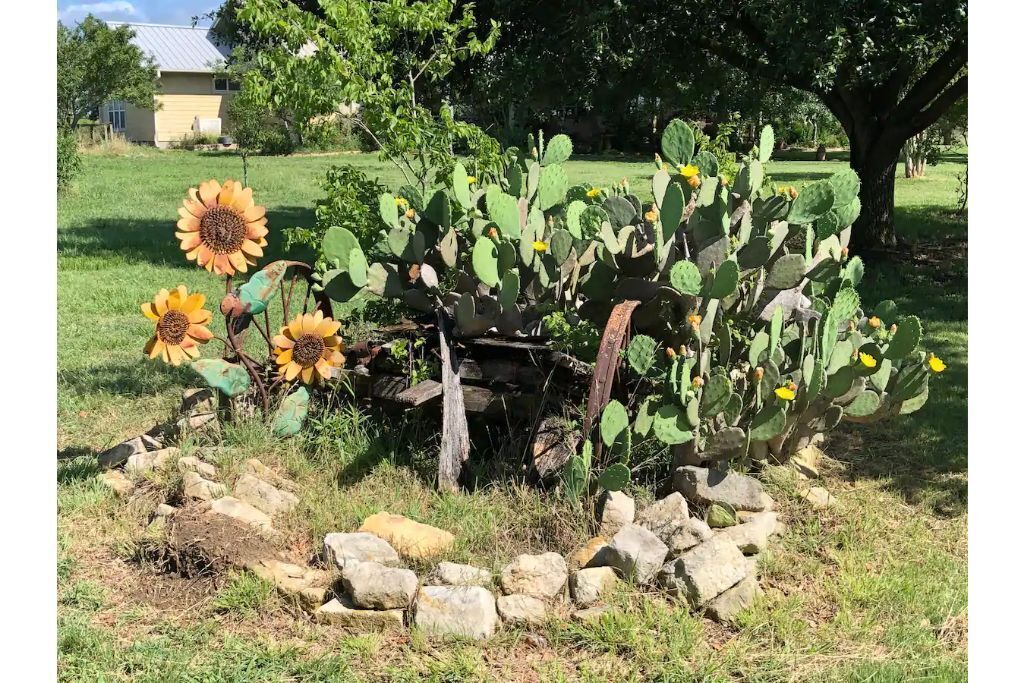 Photo of Outdoor in Waelder