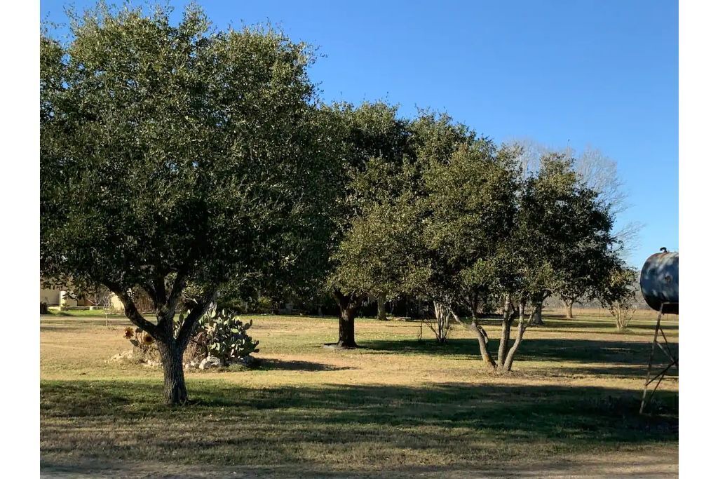 Photo of Outdoor in Waelder