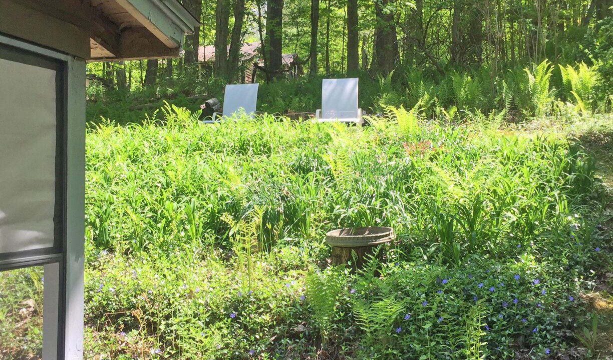 Photo of Others in Stockbridge