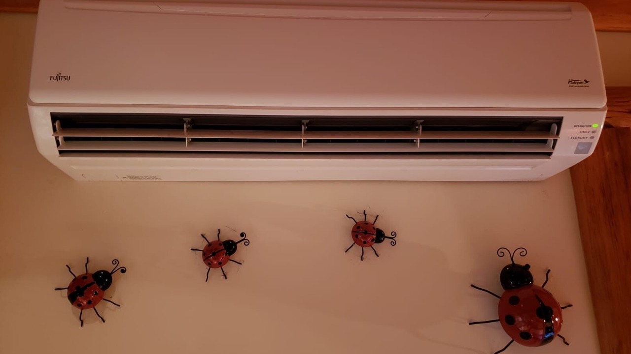 Photo of Others in Jay