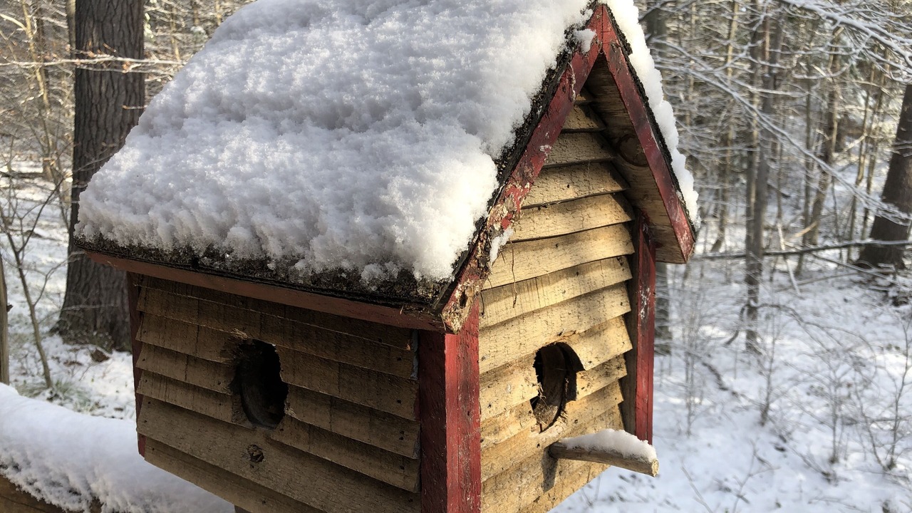 Photo of Outdoor in Jay