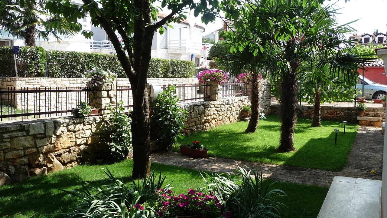 Photo of Outdoor in Borik