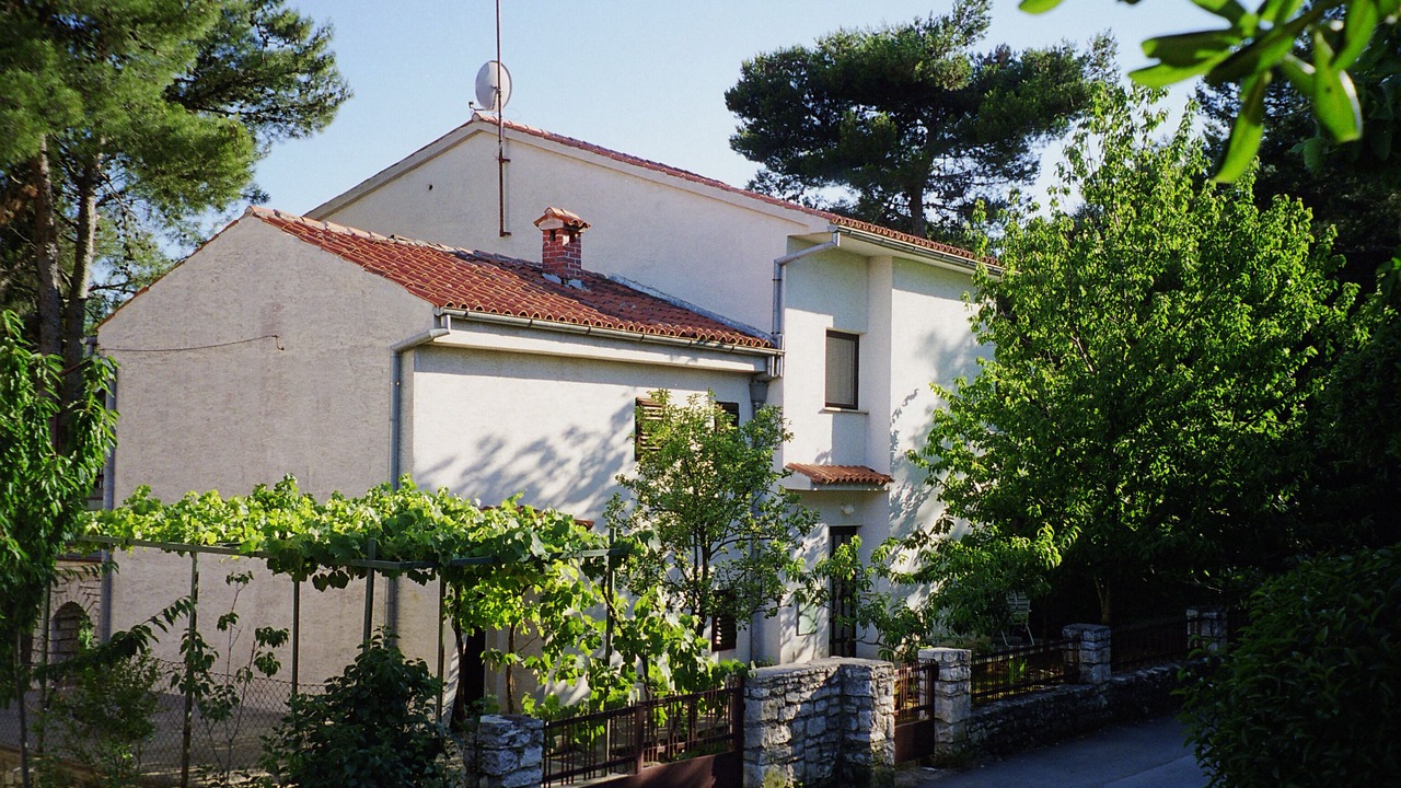Photo of Outdoor in Borik
