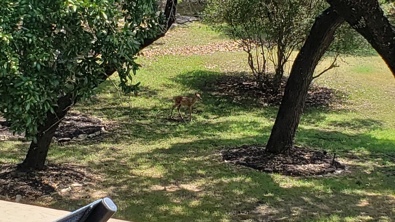 Photo of Outdoor in Fair Oaks Ranch