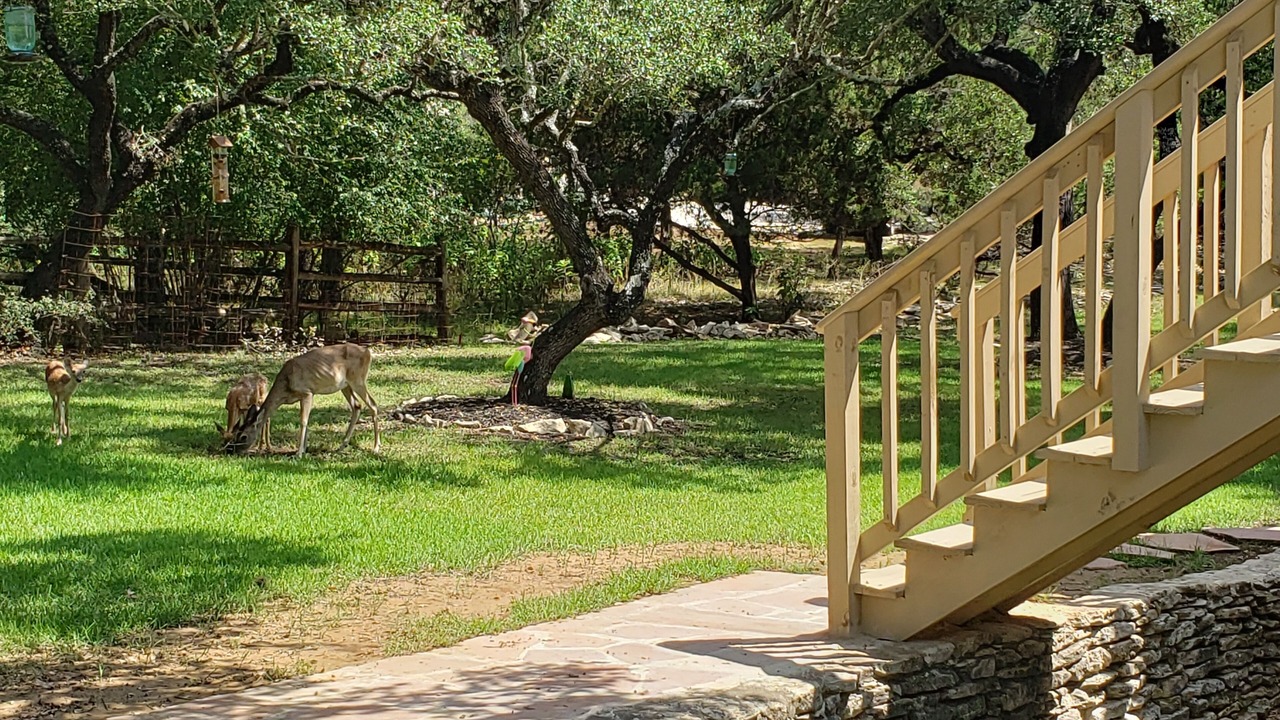 Photo of Outdoor in Fair Oaks Ranch