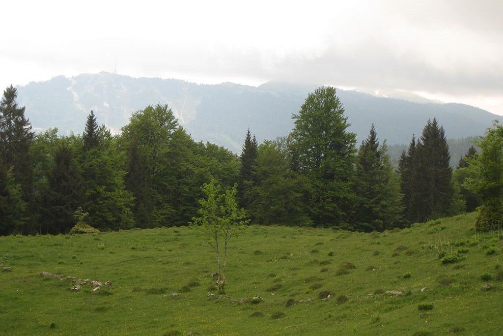 Photo of Outdoor in Saint-Laurent-en-Grandvaux
