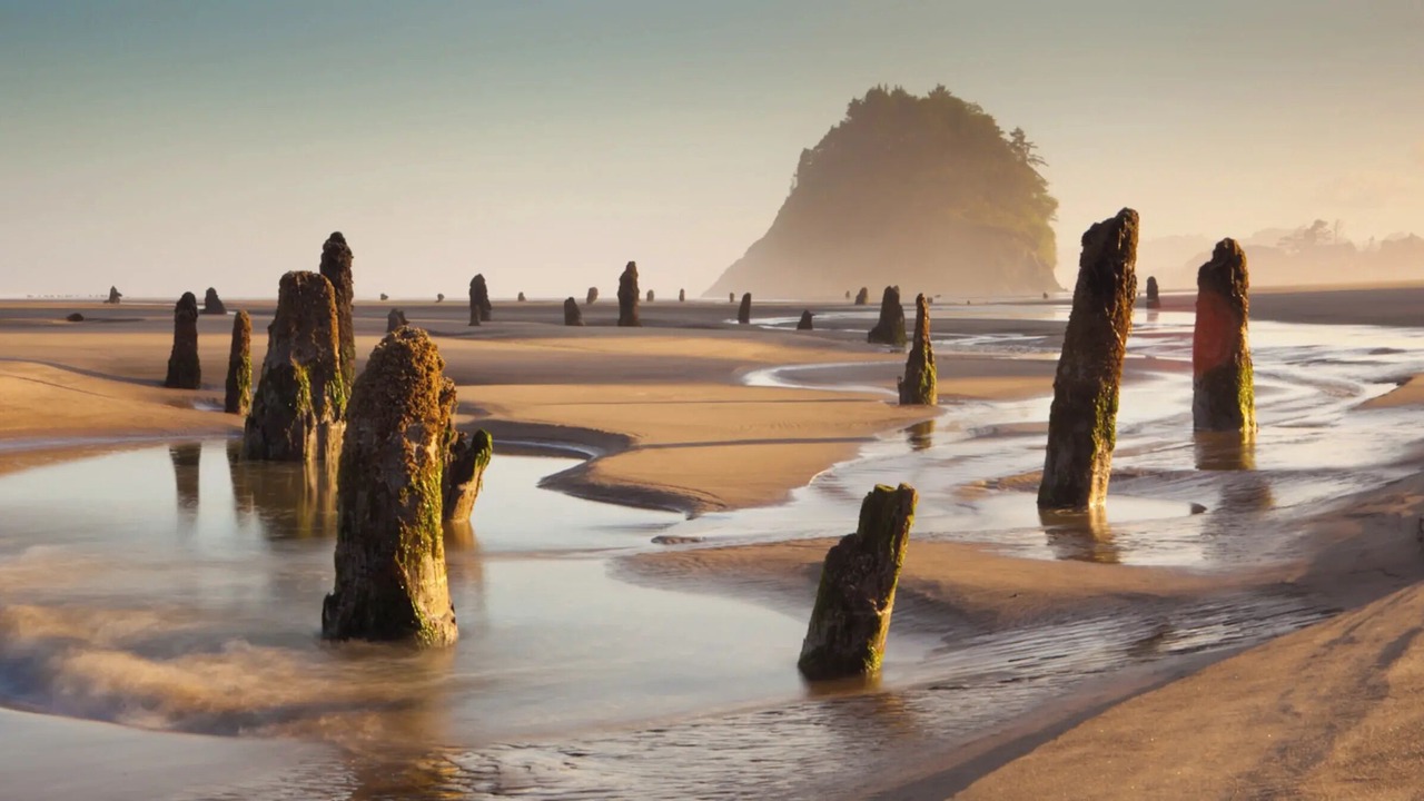 Photo of Others in Neskowin