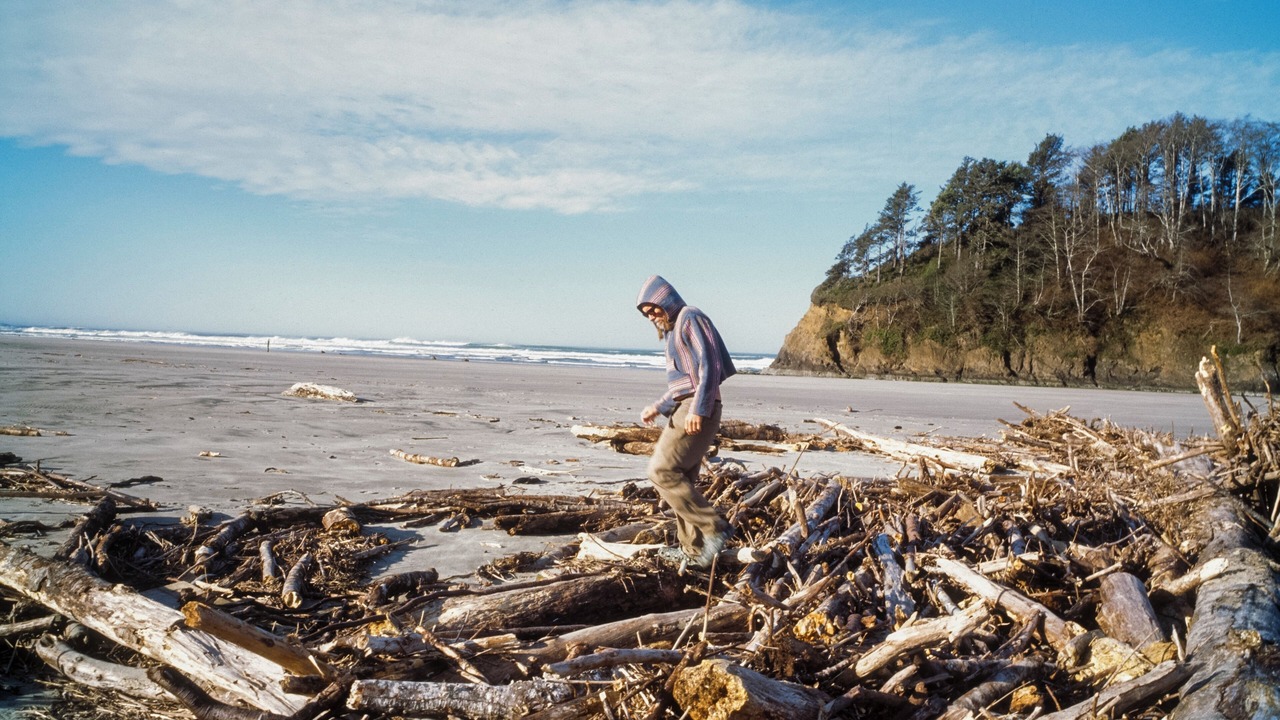 Photo of Others in Neskowin