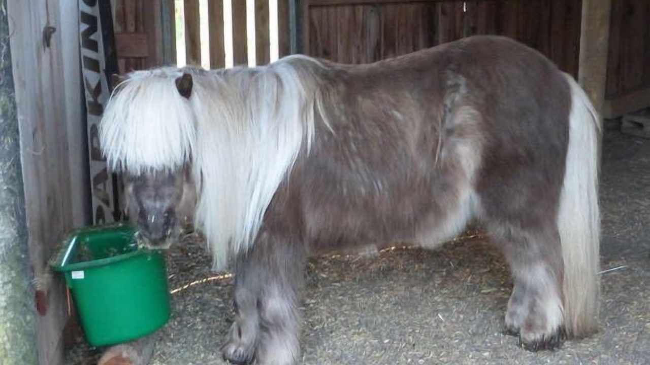 Photo of Others in Bellbrae