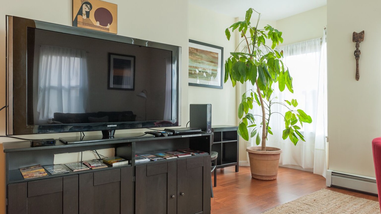 Photo of Others in East Somerville