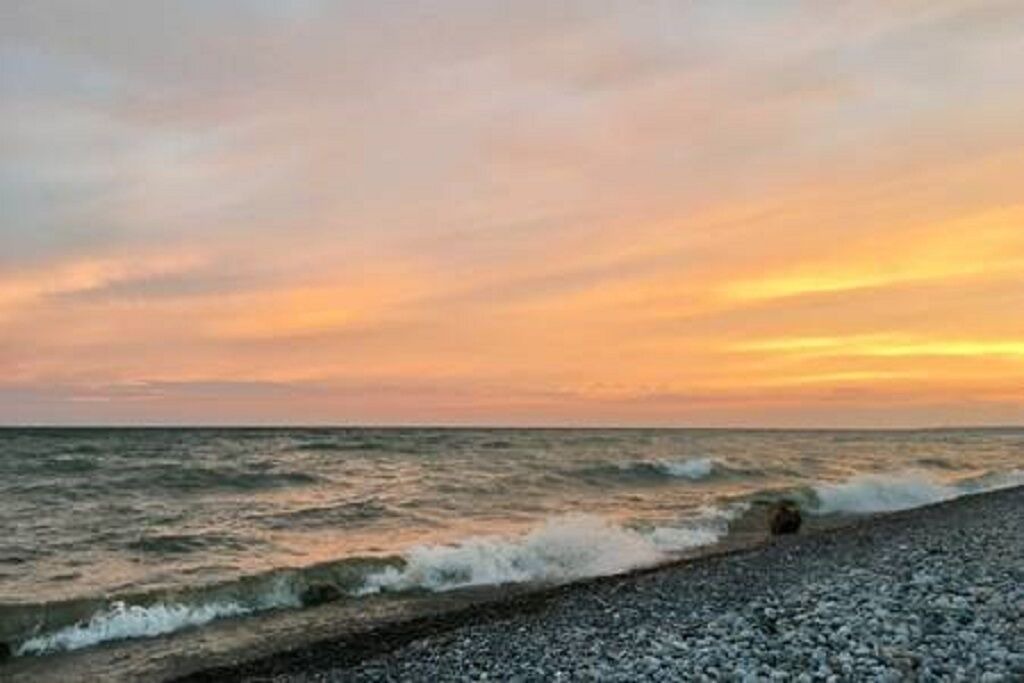 Photo of Others in Alnwick/Haldimand