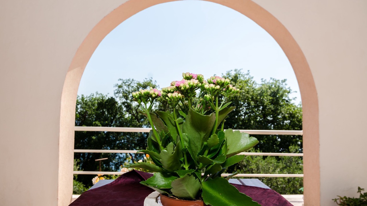 Photo of Patio Balcony in Mlini