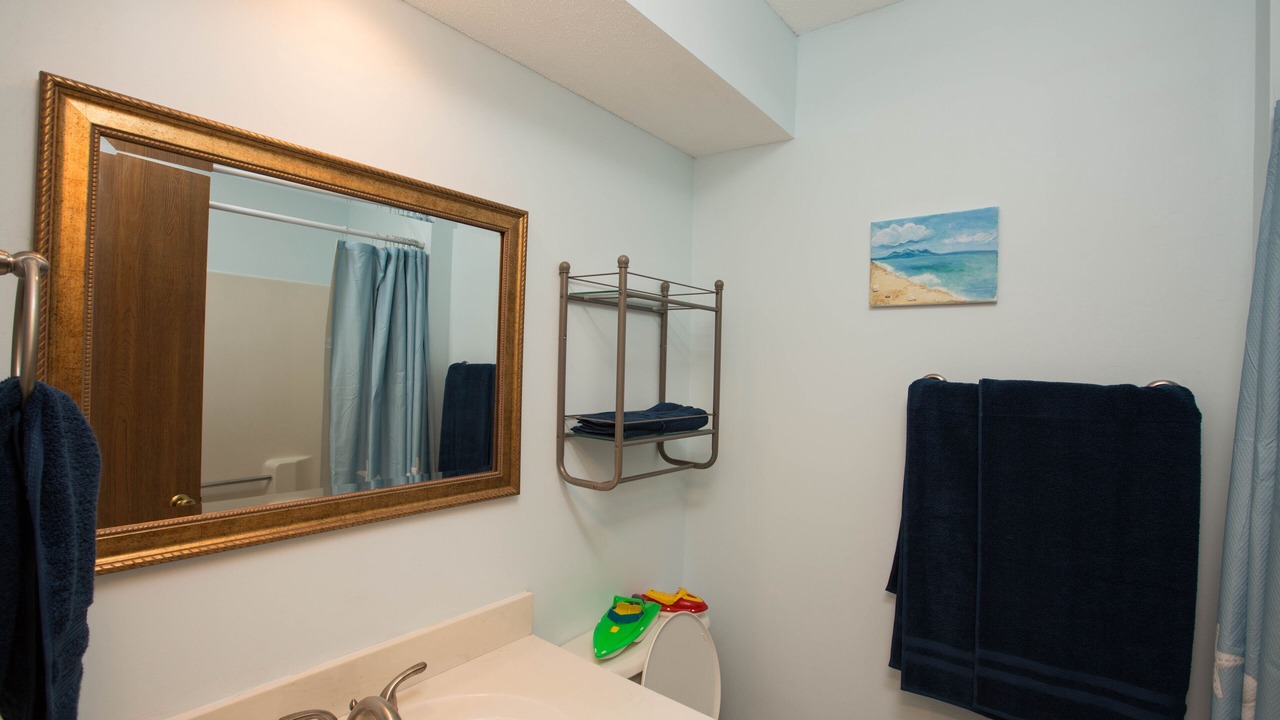 Photo of Bathroom in Merriam