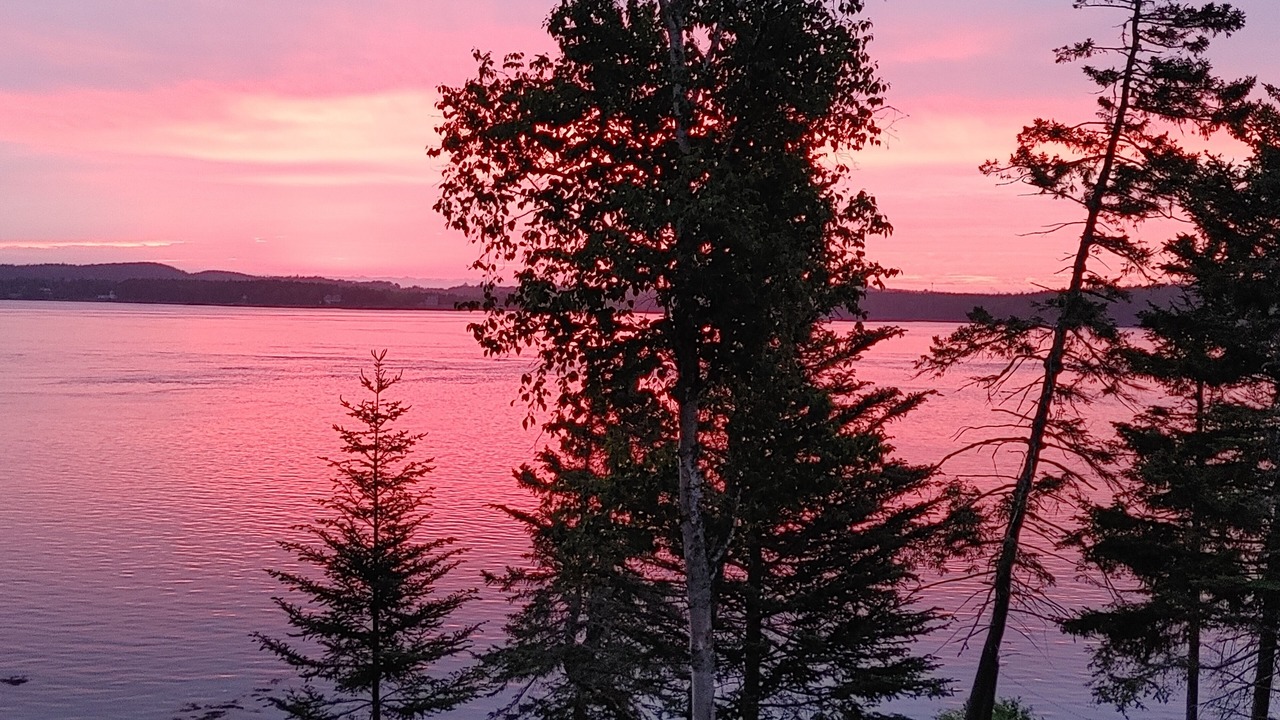 Photo of Others in Lubec