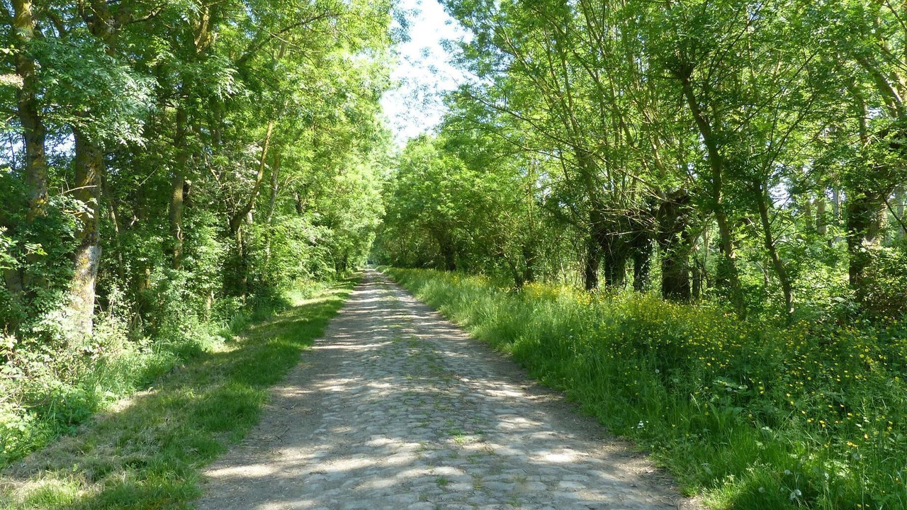 Photo of Outdoor in La Bohalle