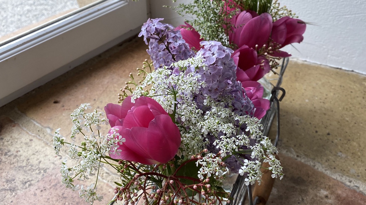 Photo of Others in Durfort