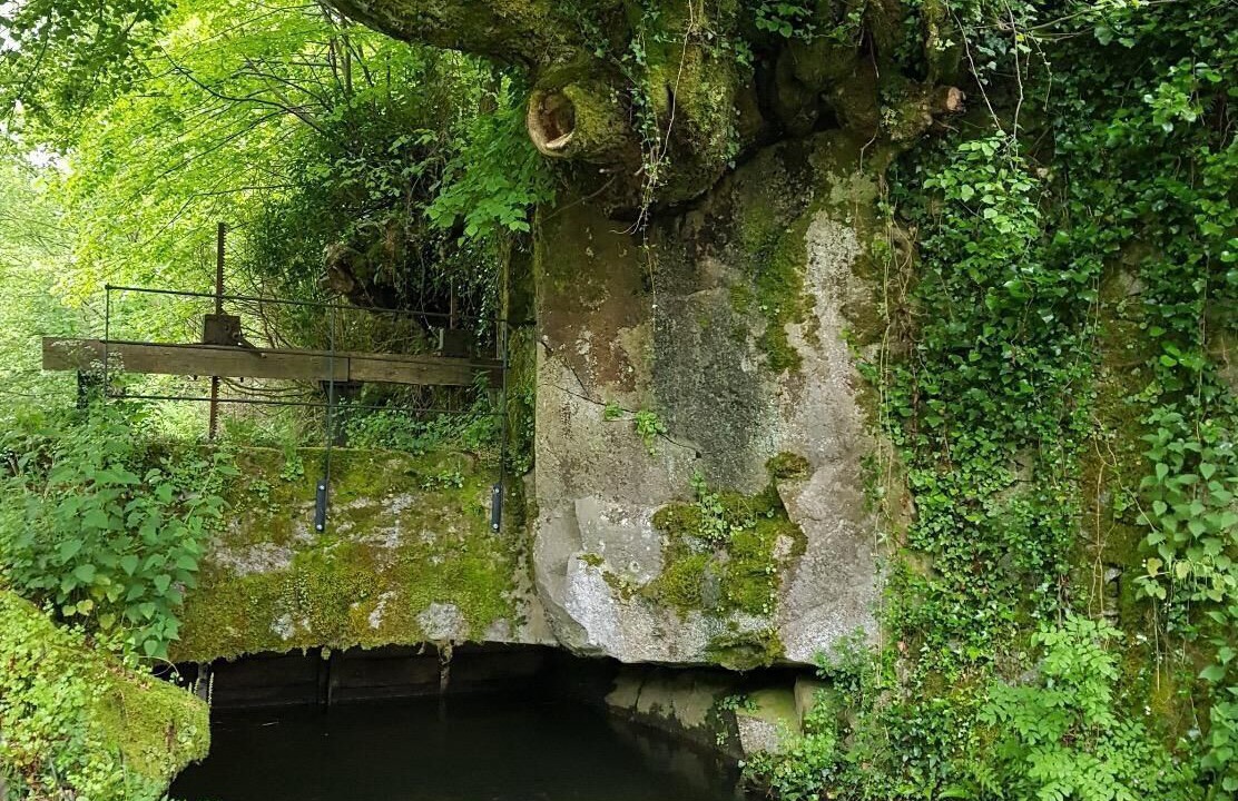 Photo of Outdoor in Ferrieres