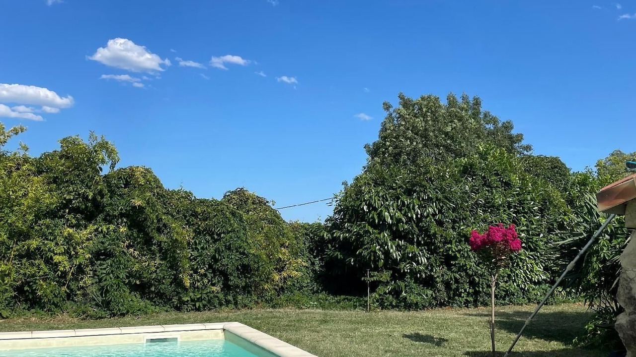 Photo of Outdoor in Pujols