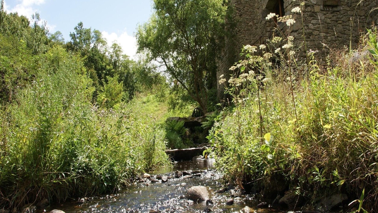 Photo of Outdoor in Ferrieres