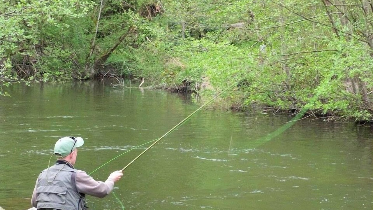 Photo of Others in Ferrieres