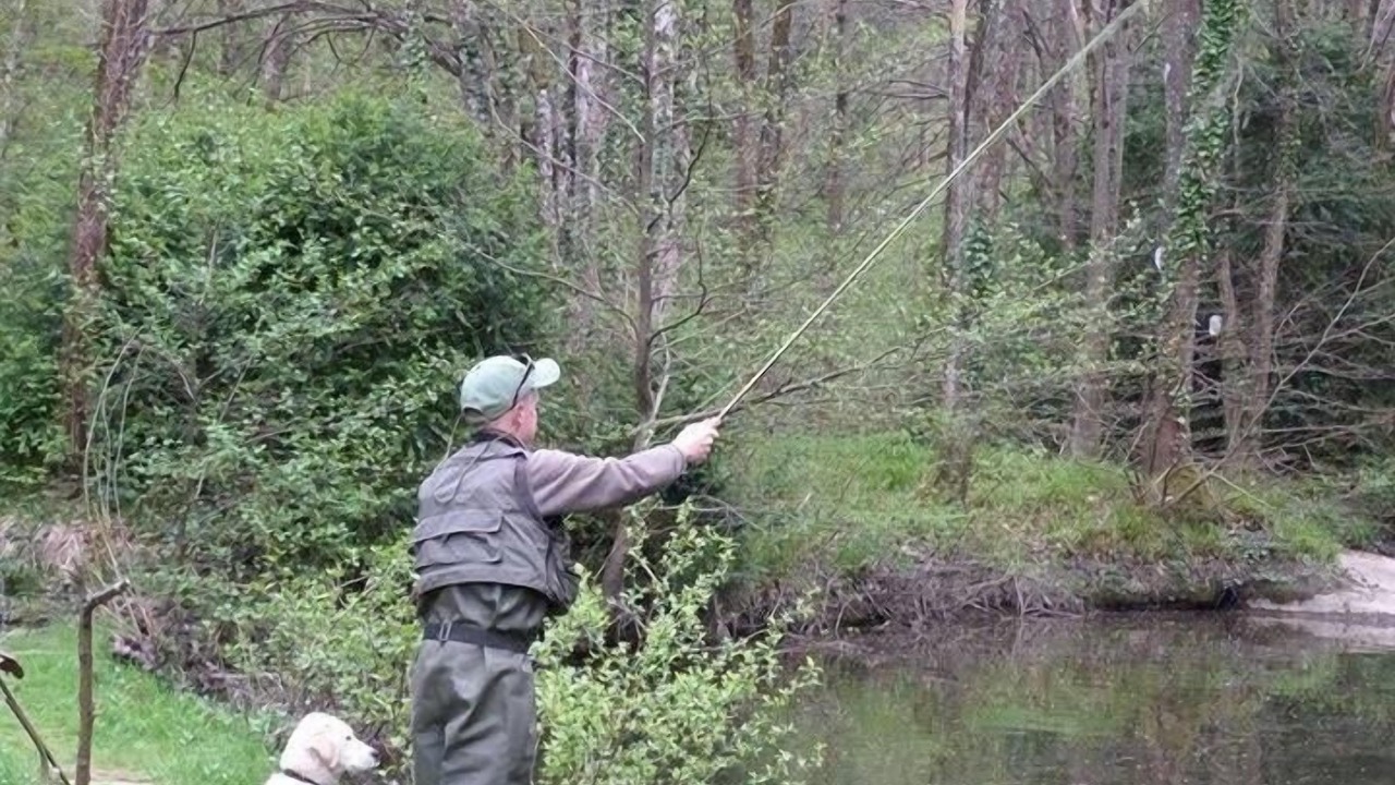 Photo of Others in Ferrieres