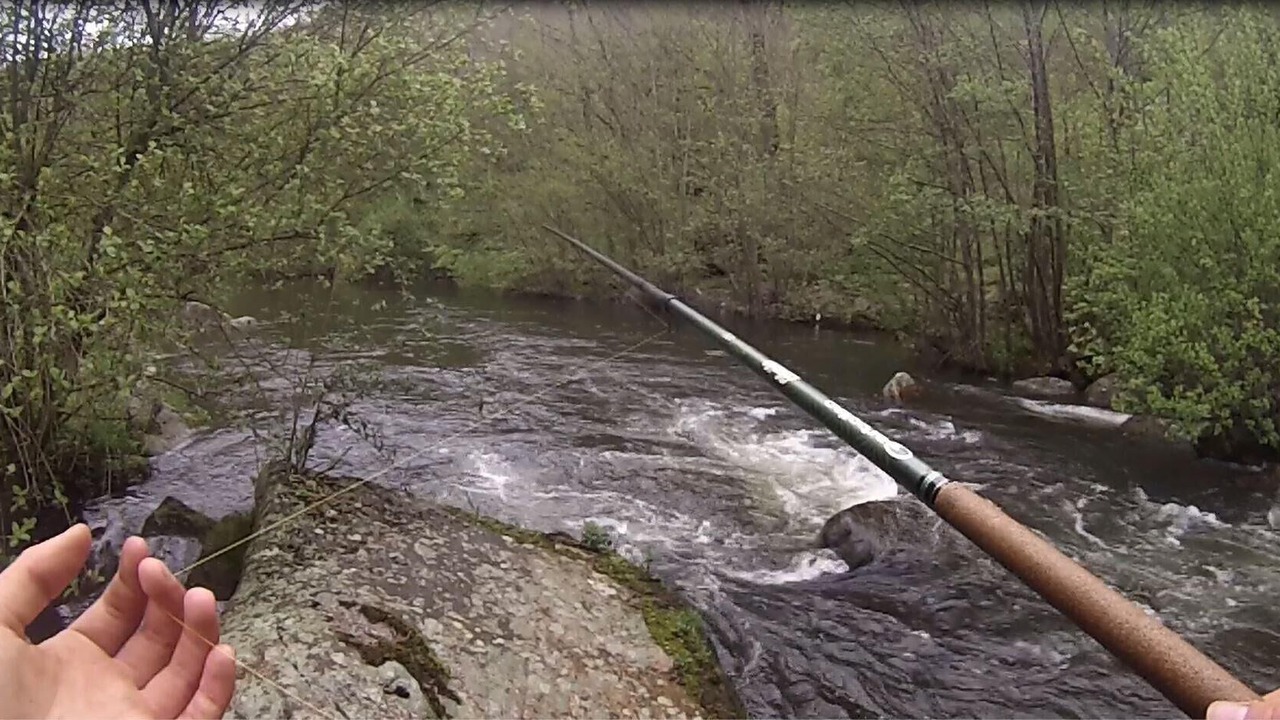 Photo of Others in Ferrieres