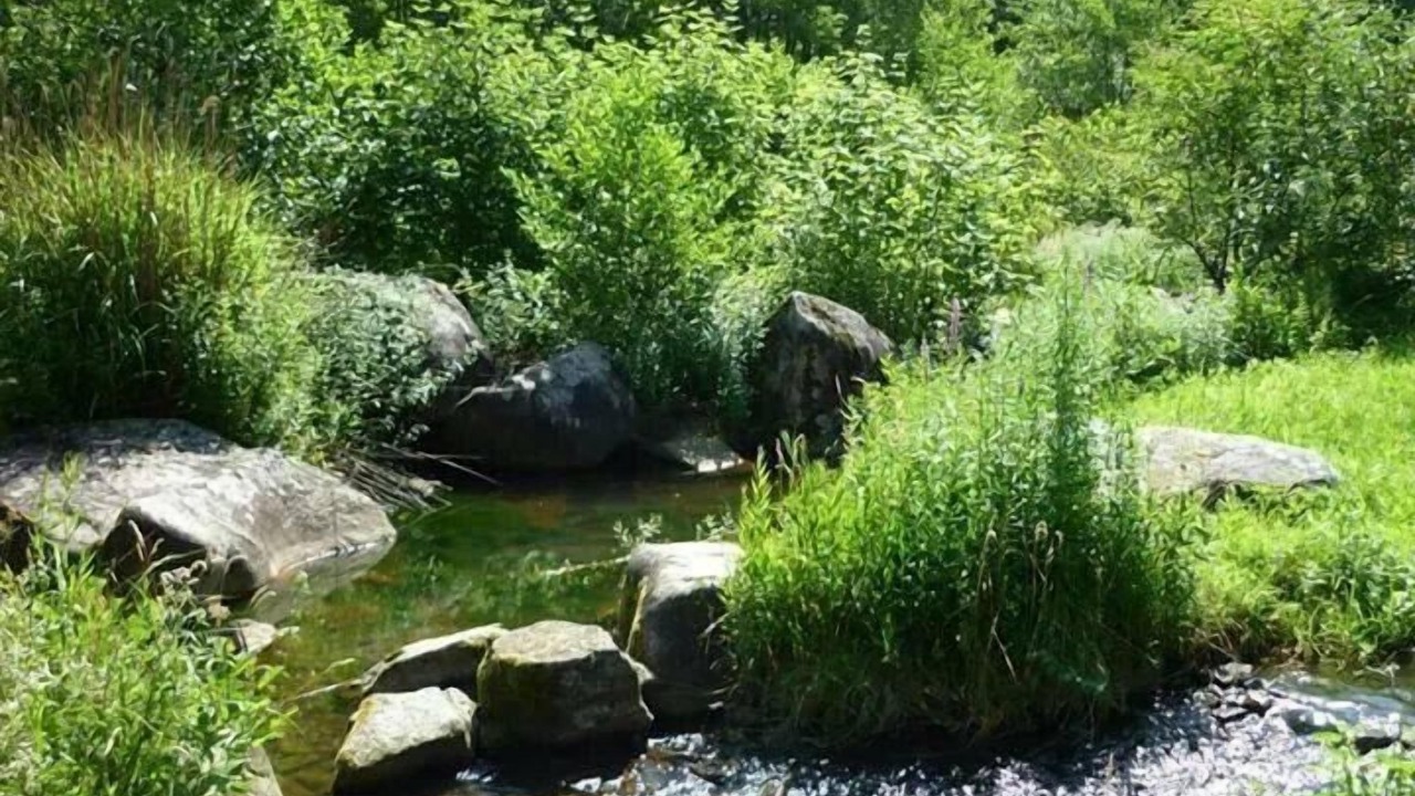 Photo of Others in Ferrieres