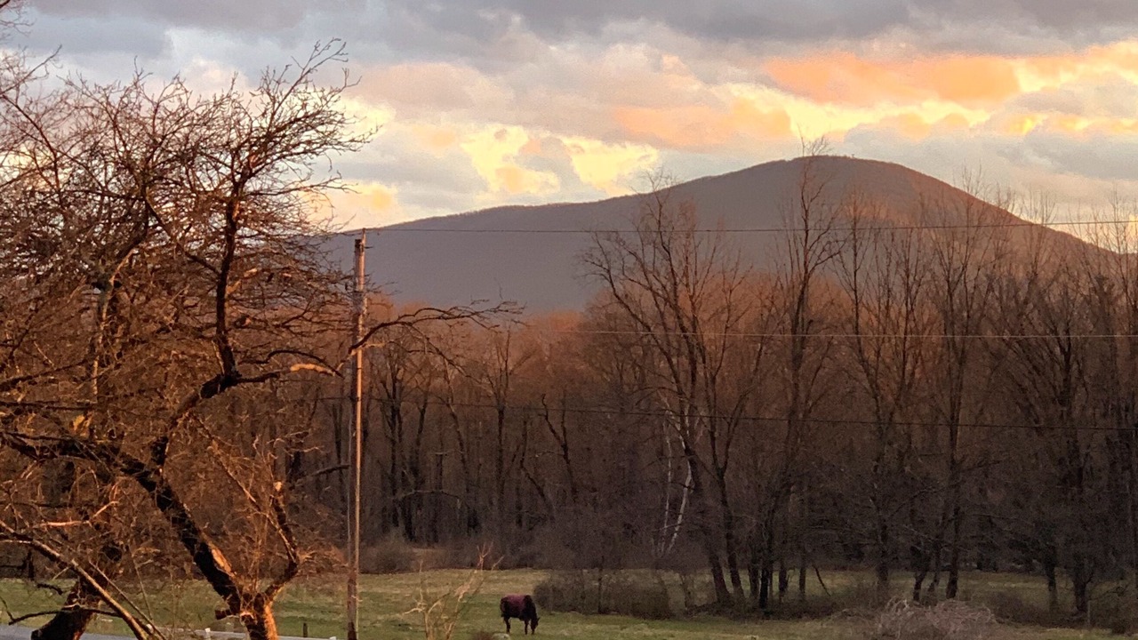 Photo of Others in Bennington