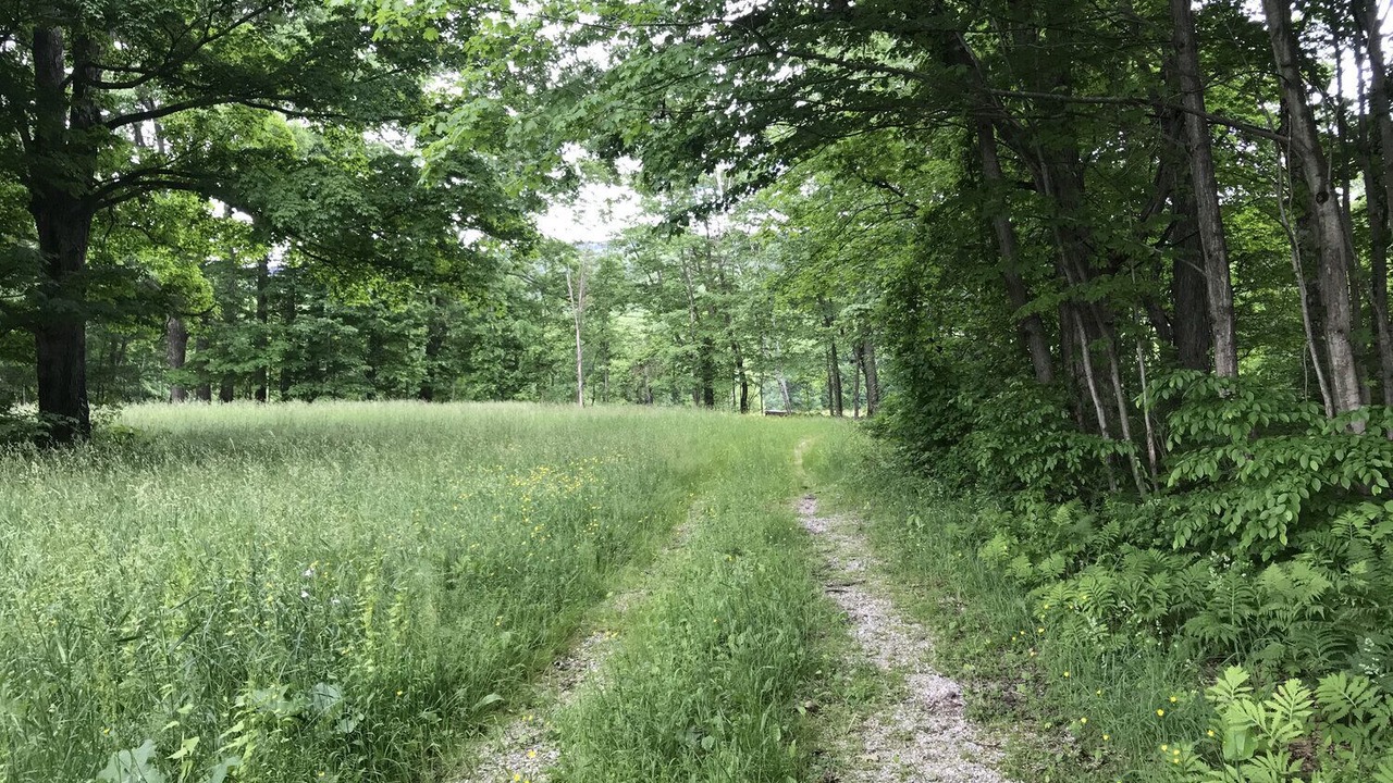 Photo of Others in Bennington