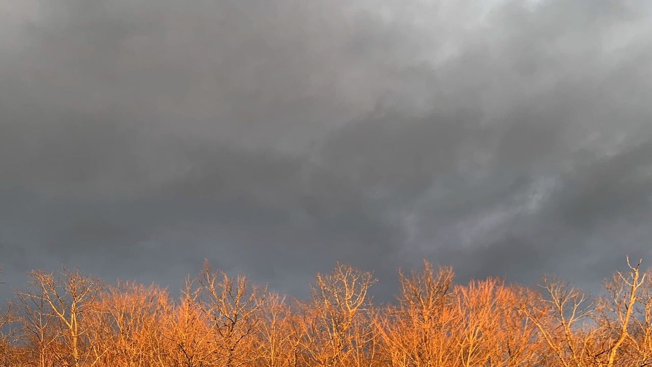 Photo of Others in Bennington