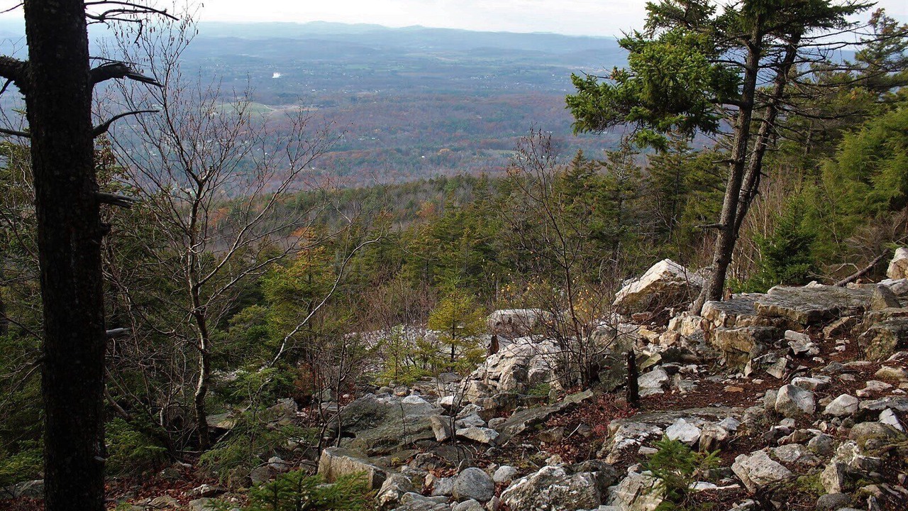 Photo of Others in Bennington