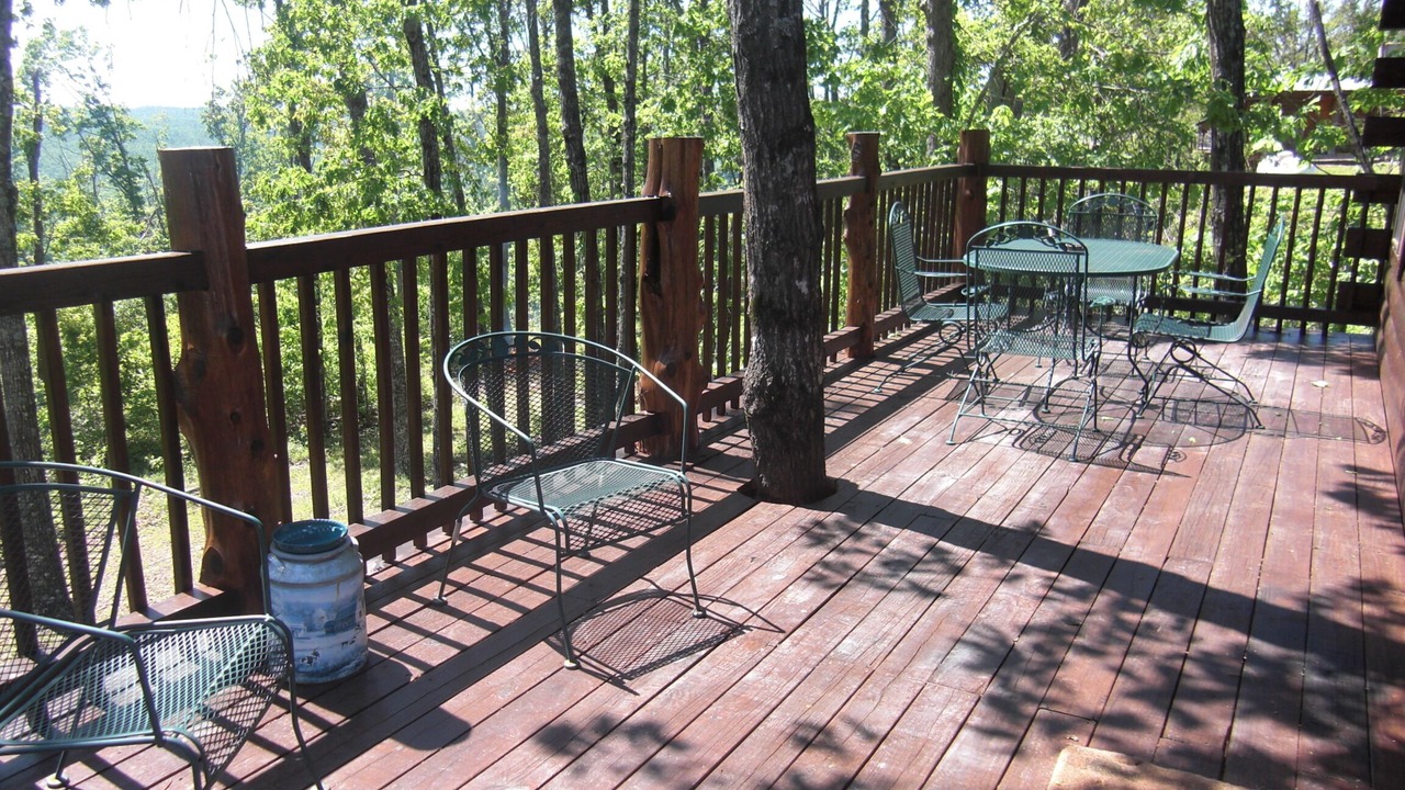 Photo of Outdoor in Deer