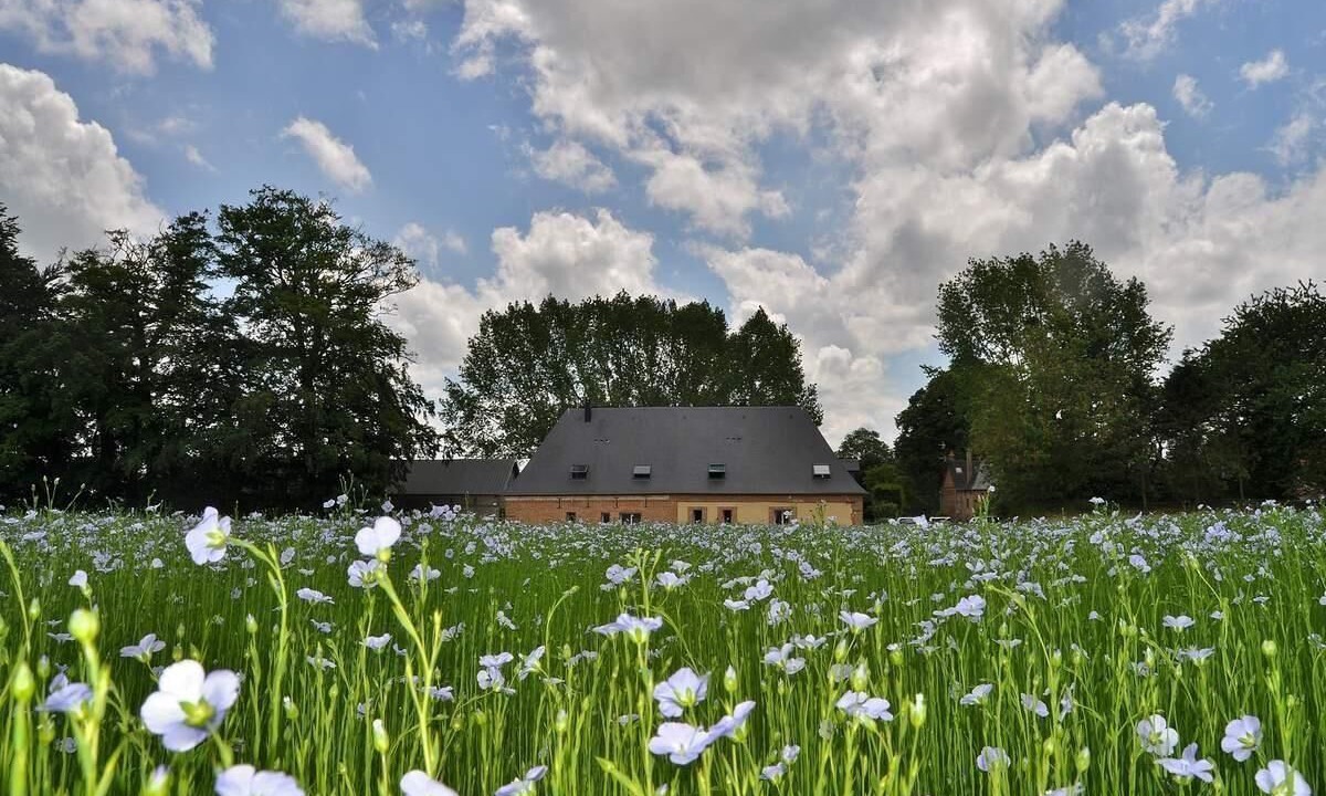Photo of Outdoor in Saint-Crespin