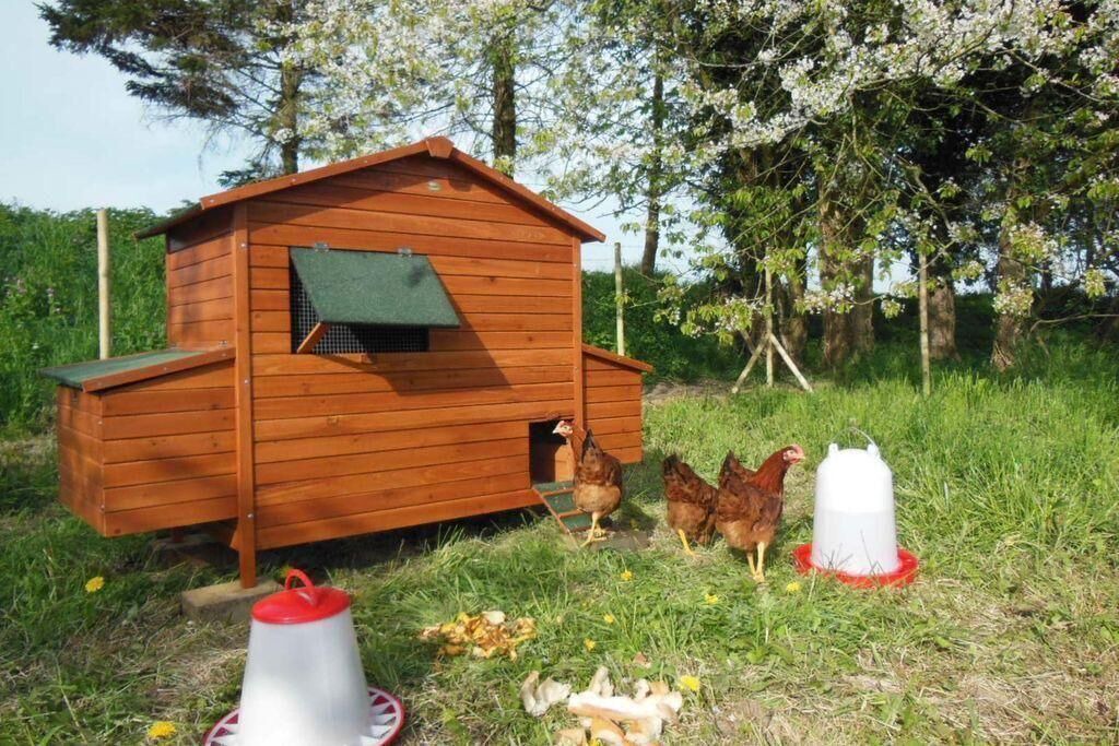 Photo of Outdoor in Saint-Crespin