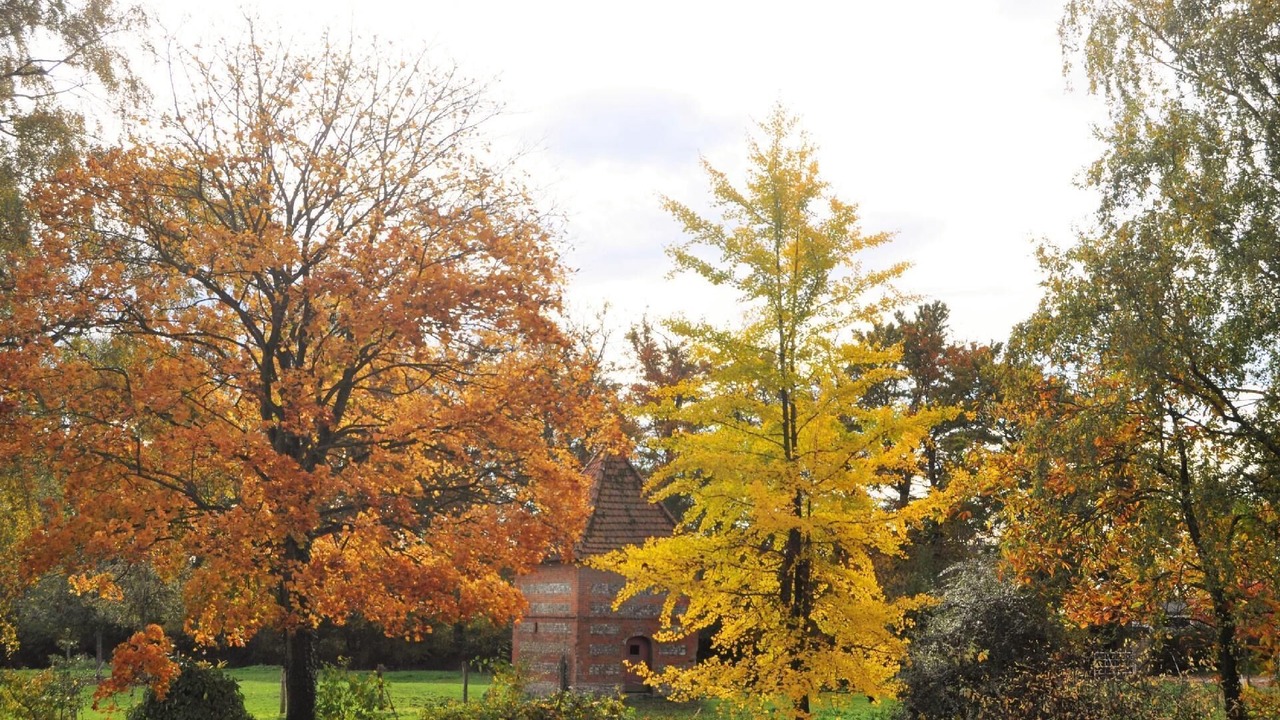 Photo of Outdoor in Saint-Crespin