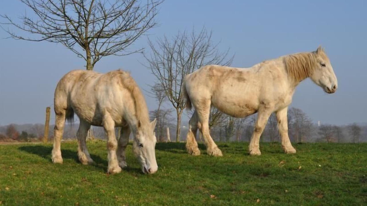 Photo of Others in Saint-Crespin