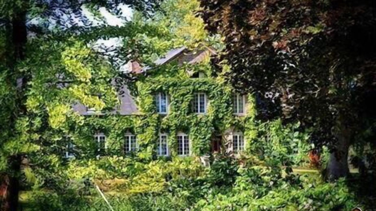 Photo of Outdoor in Saint-Crespin