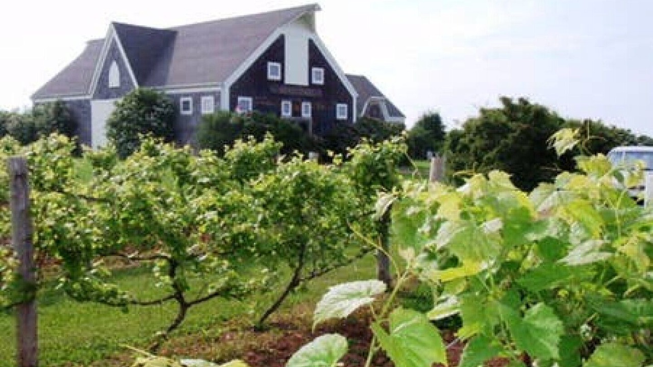 Photo of Outdoor in Points East