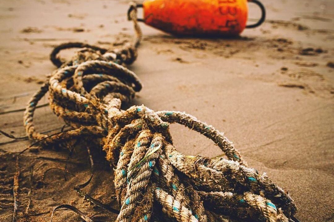 Photo of Others in Points East