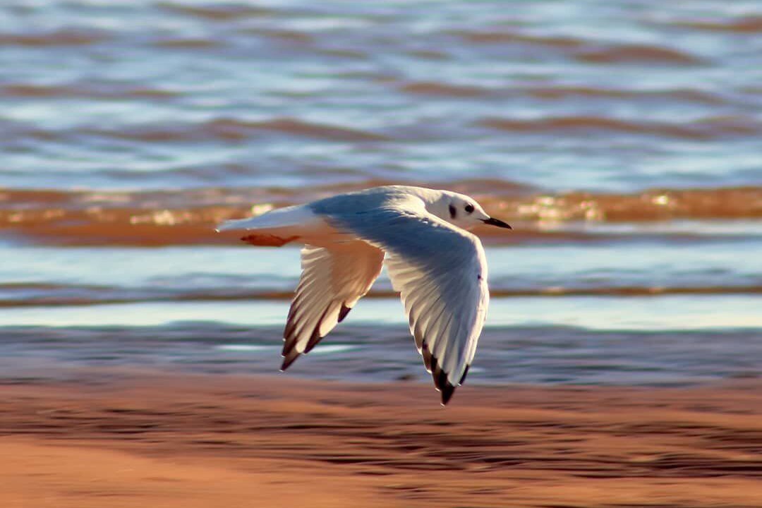 Photo of Others in Points East