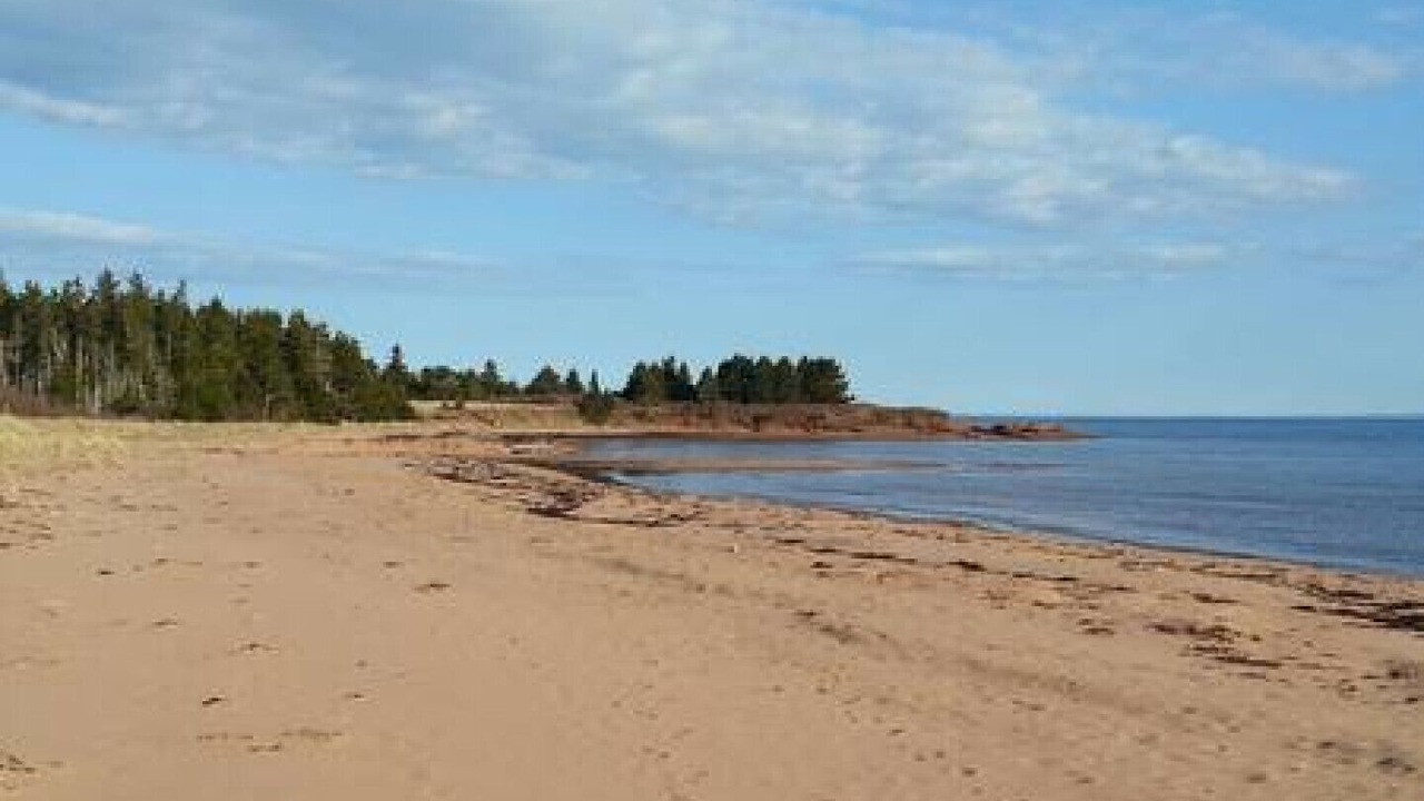 Photo of Others in Points East