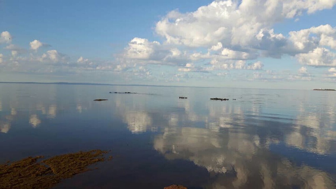 Photo of Others in Points East