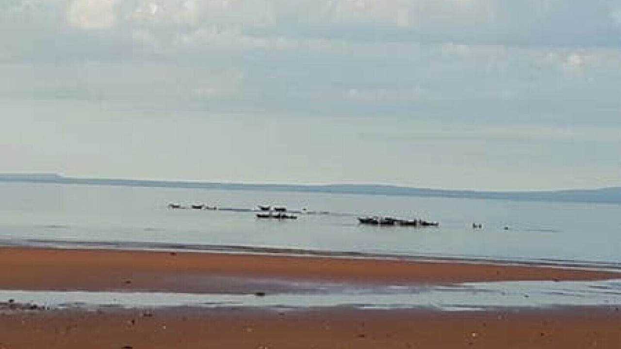 Photo of Others in Points East