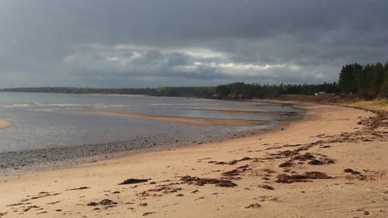 Photo of Others in Points East